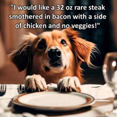 FB_IMG_1695890224247