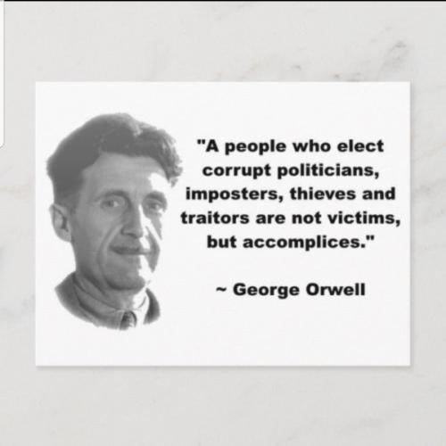 Screenshot_20230922-184429_Wimkin Free Speech Social Media