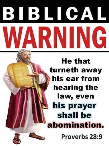 FB_IMG_1694540778581
