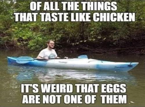 FB_IMG_1694525922781