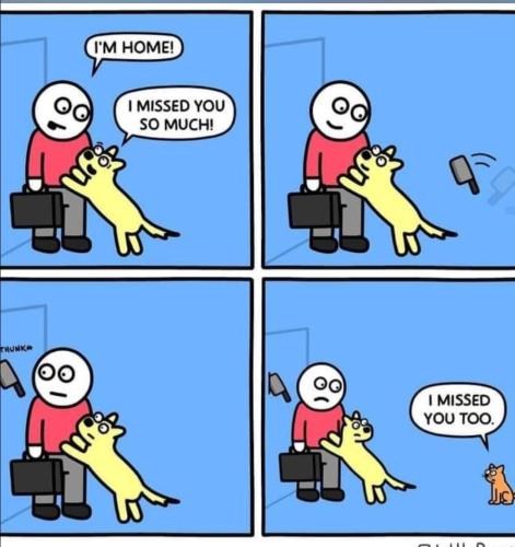 Screenshot_20230910_182059_Photos