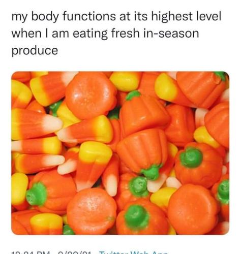 FB_IMG_1695756408686