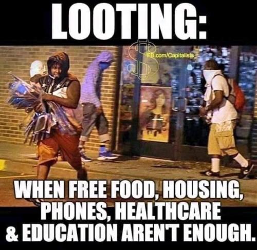 385055021_1457635928356783_2799079750179141331_n