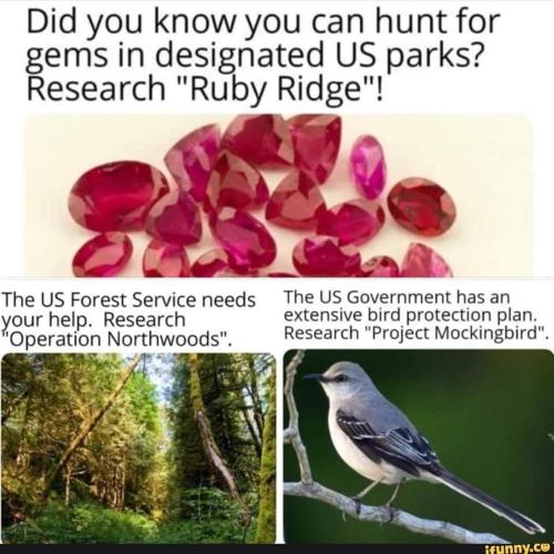 FB_IMG_1693745173061