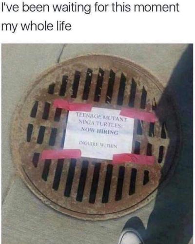 FB_IMG_1693606516771