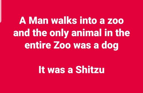 Screenshot_20230919-162915_Facebook