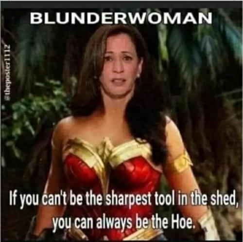 bd70572f-aa06-4743-aaa5-58def6da46ad