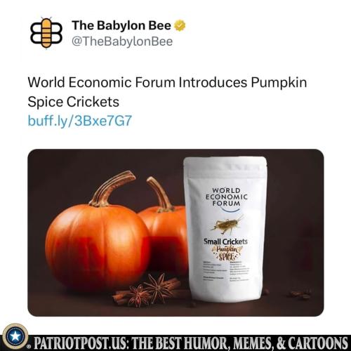 pumpkin spiced crickets