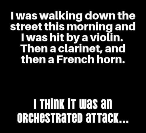 FB_IMG_1694375543051