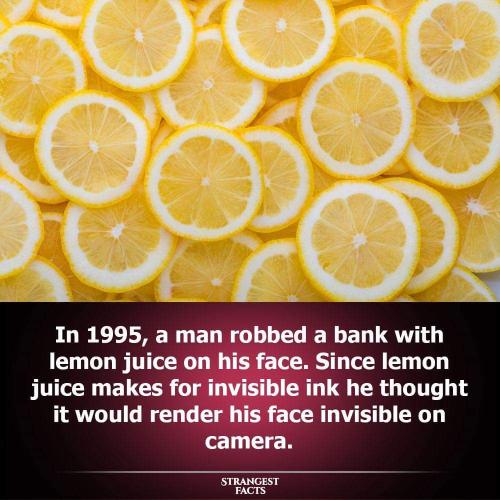 FB_IMG_1693599163862