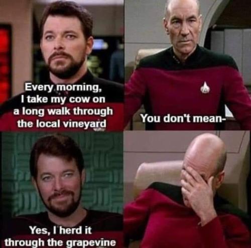 371318863_10233488990393702_7228610034890338583_n