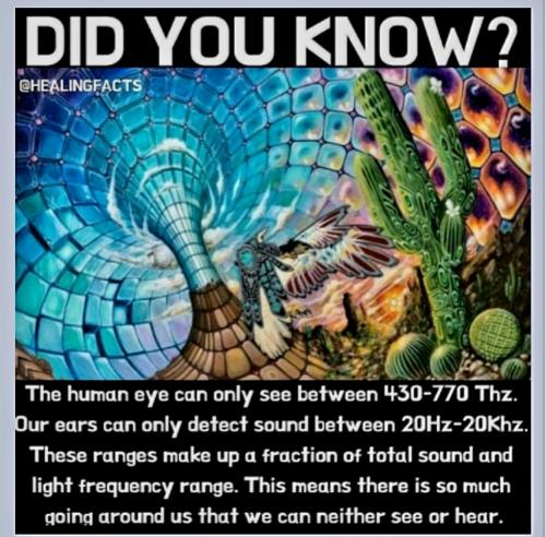 Screenshot_20230907_233329_Chrome