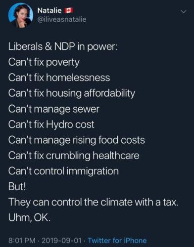libs and ndp in power