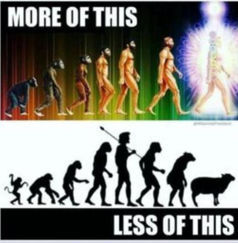 Screenshot_20230901_223016_Chrome