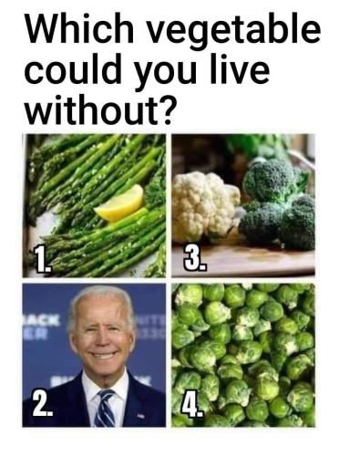 FB_IMG_1695802120822