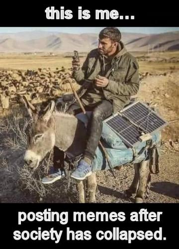 posting memes after society has collapsed