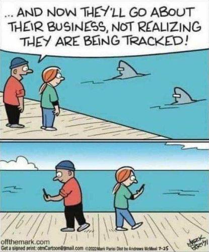 photo_2023-09-03_19-00-28