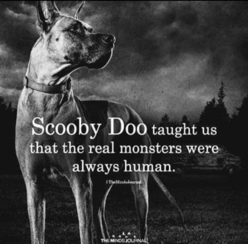 FB_IMG_1695694107887