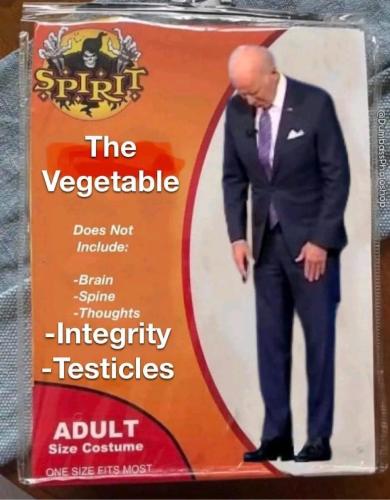 378665824_294306079990285_789942666761027973_n