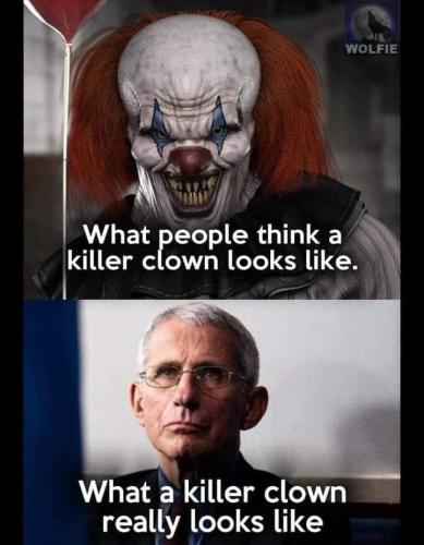 377922909_3478052499122187_3728076196965156336_n