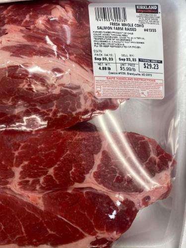 FB_IMG_1695663196398