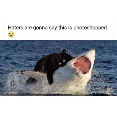 FB_IMG_1696015692567