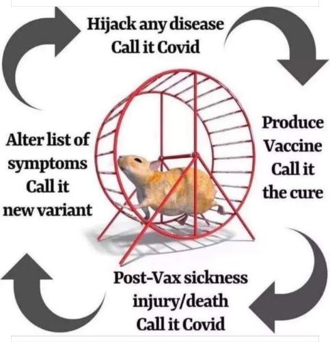 Screenshot_20230921_110222_Facebook