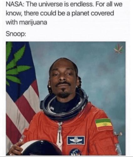 snoop dog