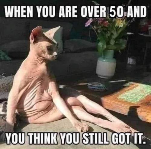 FB_IMG_1694707601142