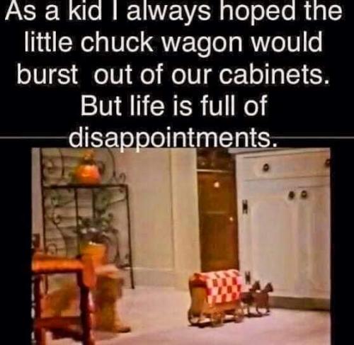 FB_IMG_1695429628921