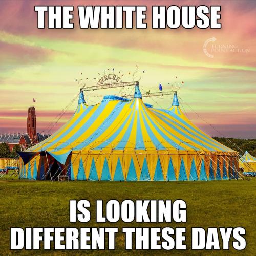 the white house looks different these days