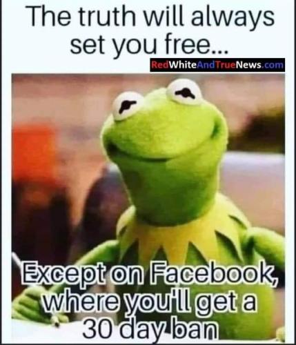 FB_IMG_1694000257553