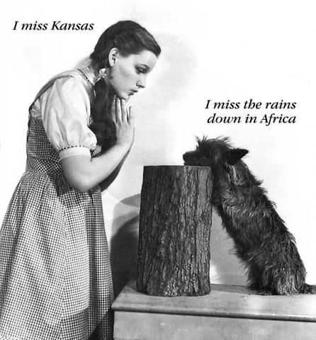 376024696_10160197583415995_3629613538609230469_n