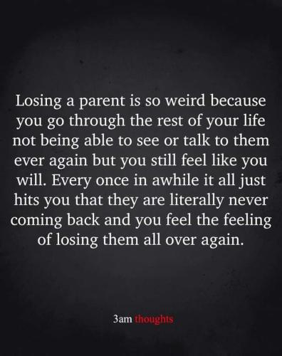FB_IMG_1693810720843