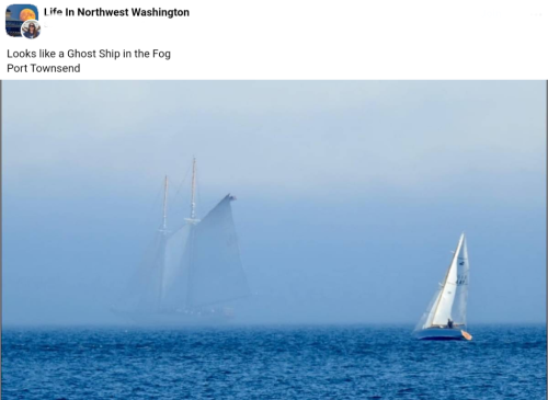 Screenshot_2023-09-13-23-43-53_kindlephoto-556119793