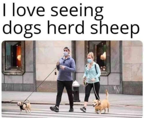 FB_IMG_1694649249408