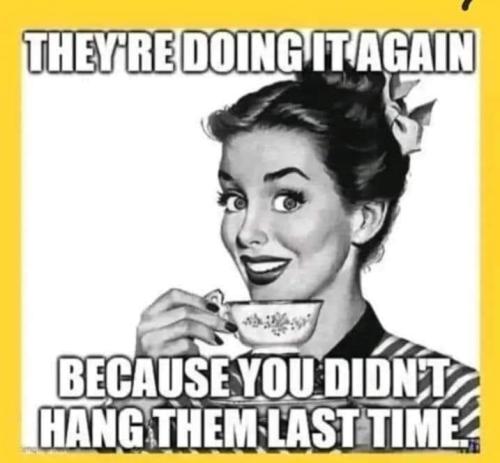 375858249_312680564614895_1073875748762941208_n