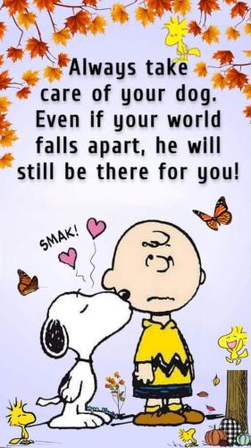 FB_IMG_1695757900312