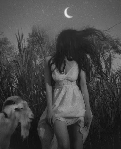 tumblr_dda2c92cb97bfbe3f1968805529c28cd_a662012d_640