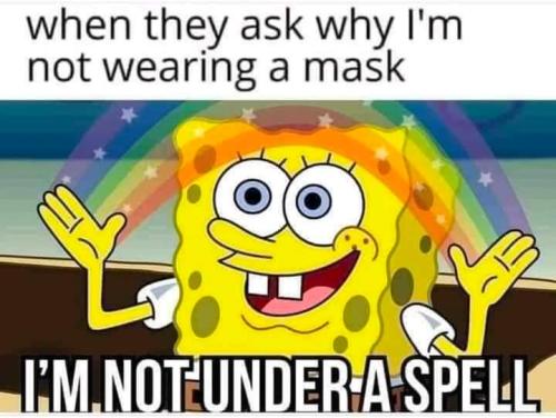 FB_IMG_1694565737260