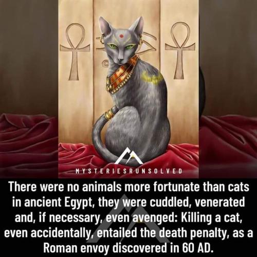 FB_IMG_1695409908219