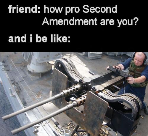 how pro second amendment are you01