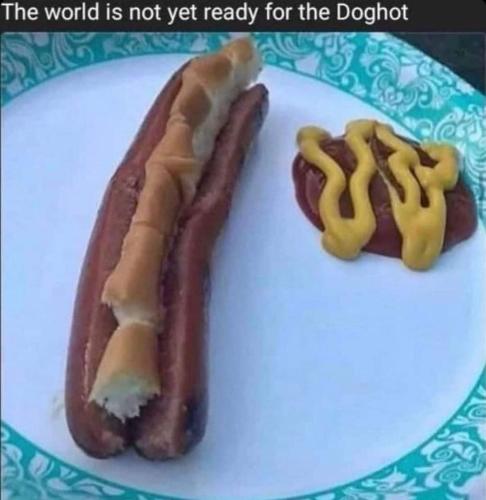 FB_IMG_1695065685165