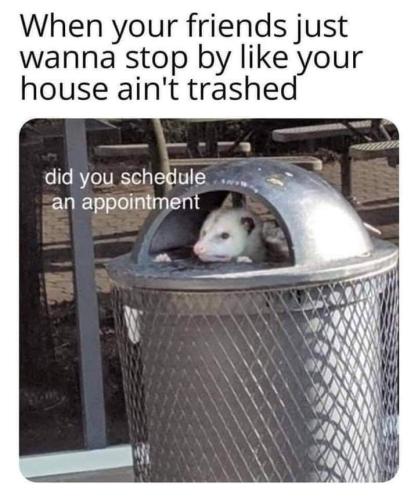 FB_IMG_1693608248634