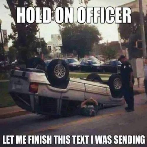 18056833_10209038423101759_3018427924579471841_n