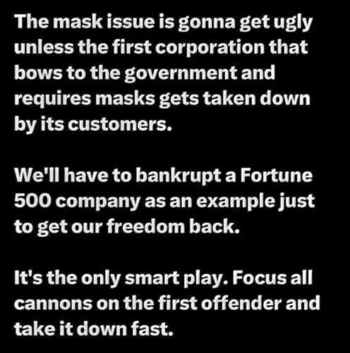 Time to take down a Fortune 500 company over the mask mandates