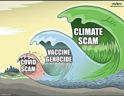 scams