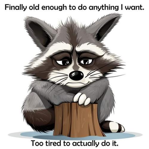 FB_IMG_1694528079459