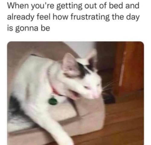 375828353_10160195546560995_5171168344425486963_n