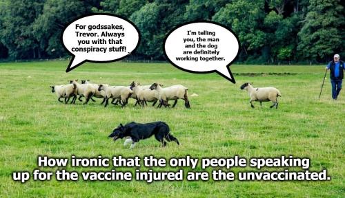 sheeple conspiracy 1200px